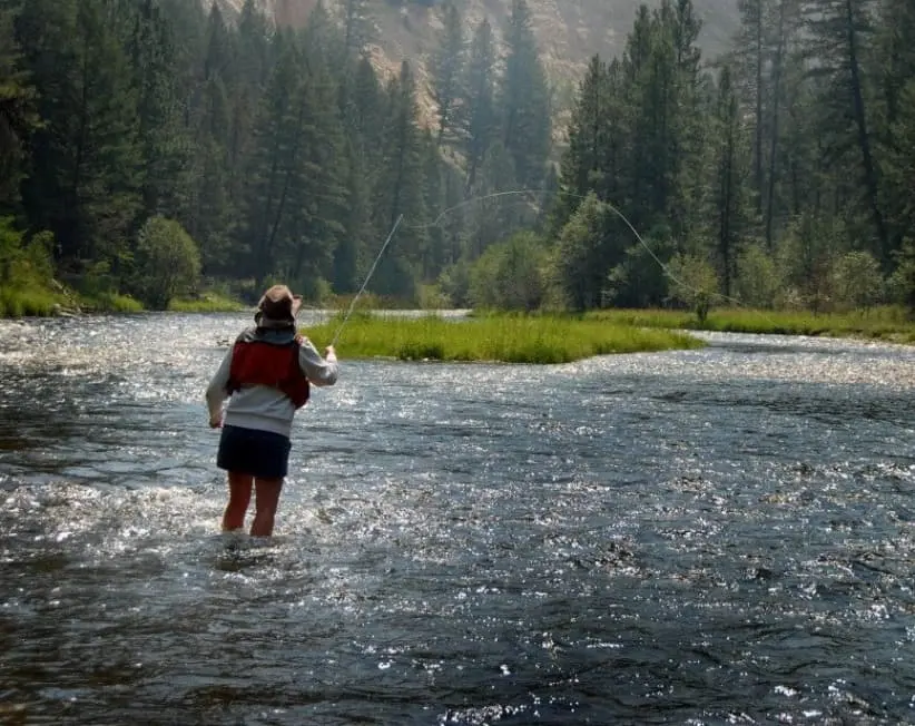 Livingston Montana Fly Fishing Trips