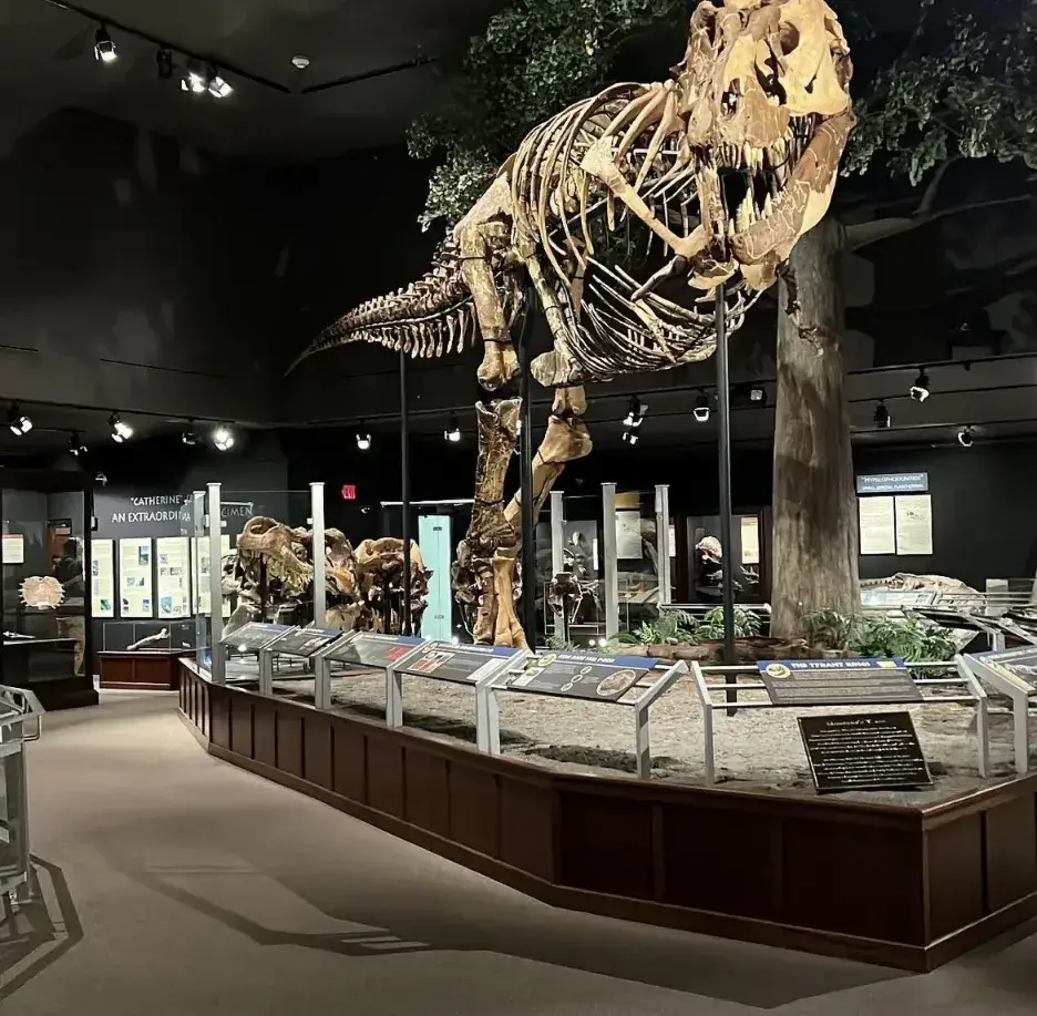 World-class Museum in Bozeman