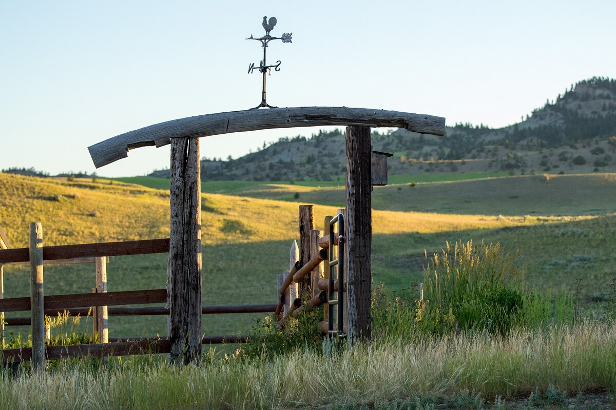 The Shepherd's Retreat